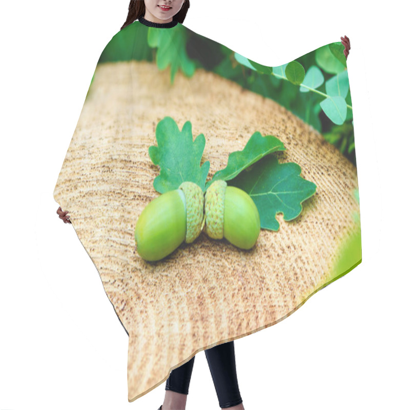 Personality  This Photograph Shows The Graceful Beauty Of Nature: Two Green Oak Acorns Are Neatly Arranged On A Fresh Tree Cut, Surrounded By Oak Leaves. Hair Cutting Cape