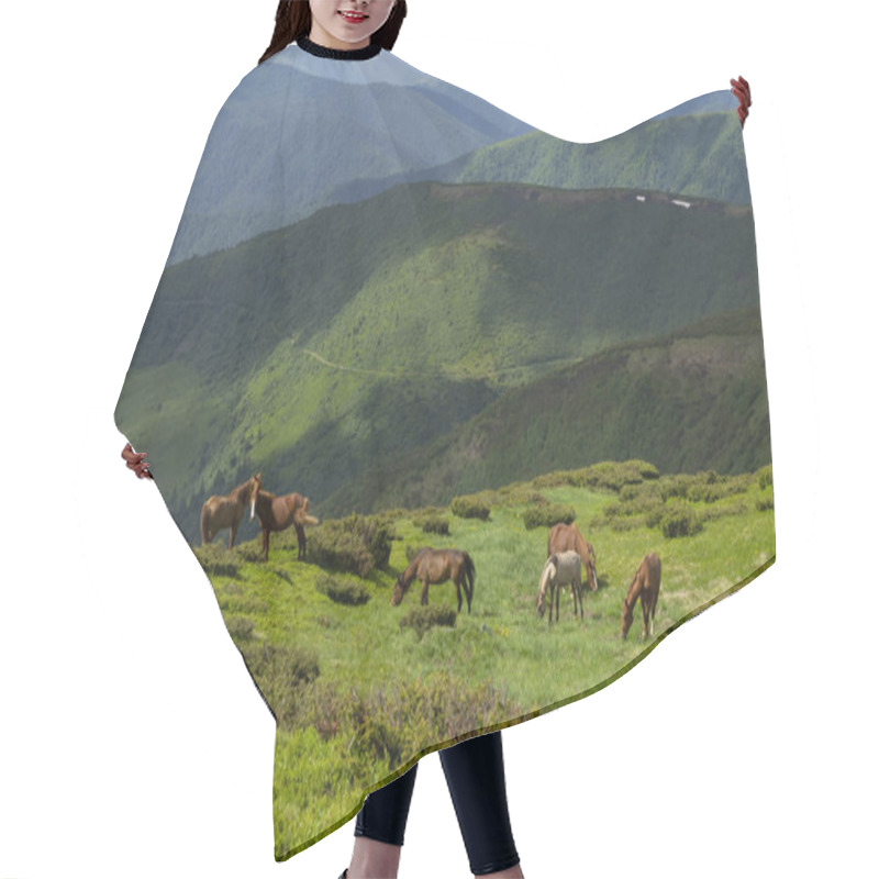 Personality  Several Wild Horses On Mountain Hills. Green Grass. Warm Summer Photo. Hair Cutting Cape