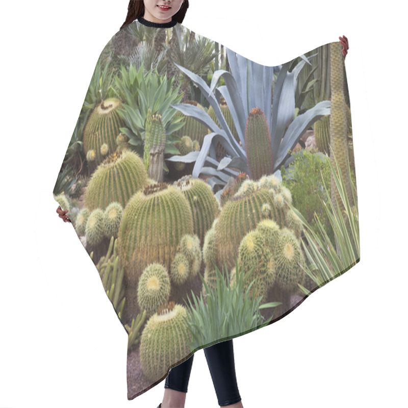 Personality  Cactus Garden - Elche - Spain Hair Cutting Cape