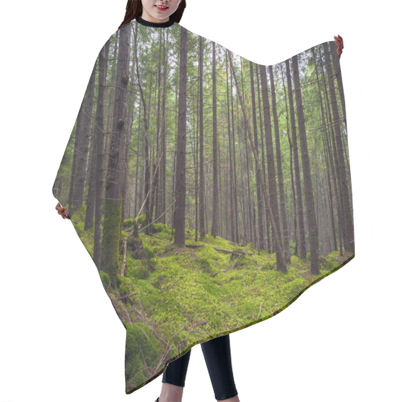 Personality  Sunlight In The Green Forest, Spring Time Hair Cutting Cape