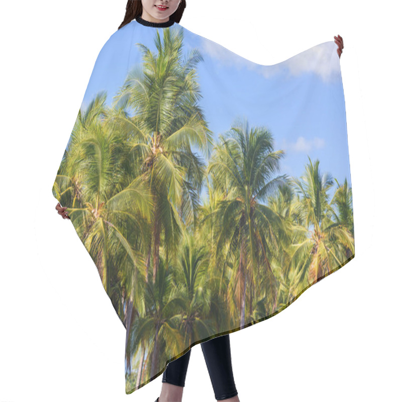 Personality  Palms On The Beach  Hair Cutting Cape