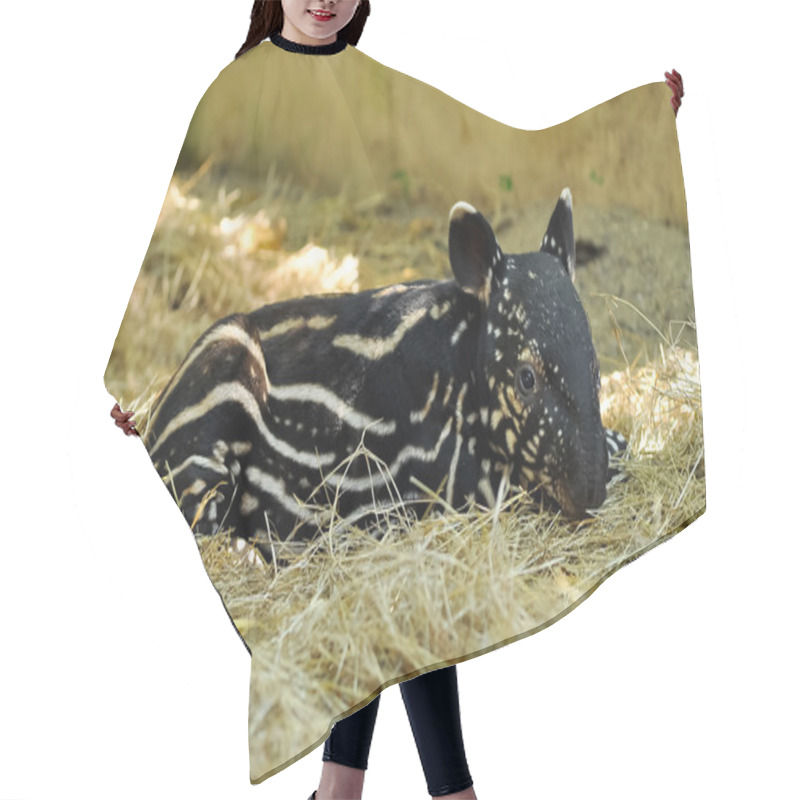 Personality  Baby Tapir Hair Cutting Cape