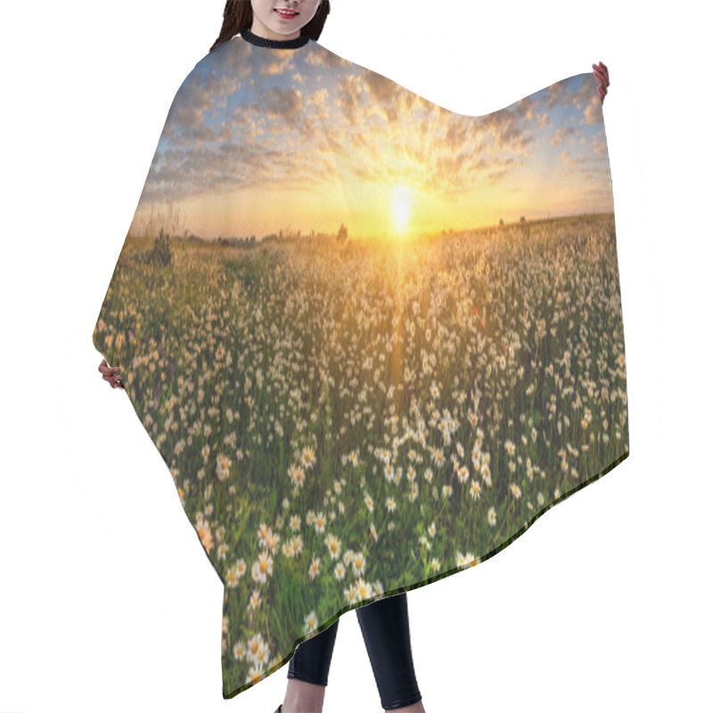 Personality  Beautiful Summer Sunrise Over Daisy Field - Panorama Hair Cutting Cape