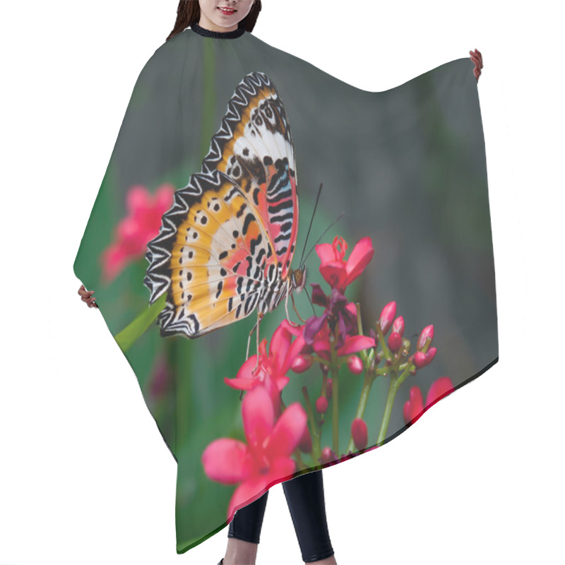 Personality  The Butterfly Hair Cutting Cape