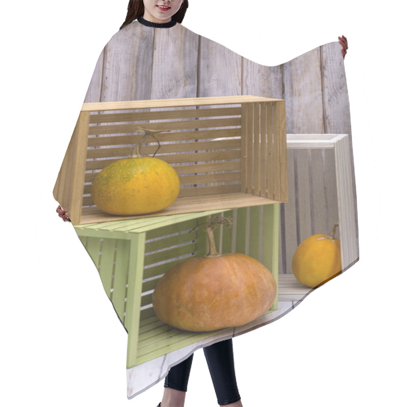 Personality  Still Life With Three Pumpkins In Wooden Crates Hair Cutting Cape