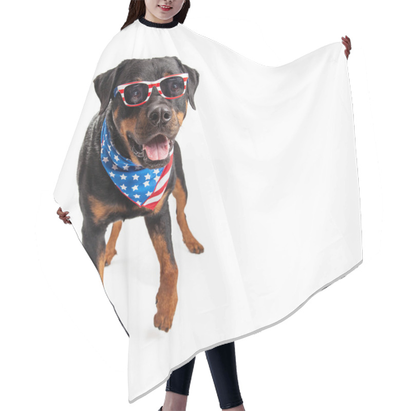 Personality  Rottweiler With American Bandana And Sunglasses  Hair Cutting Cape