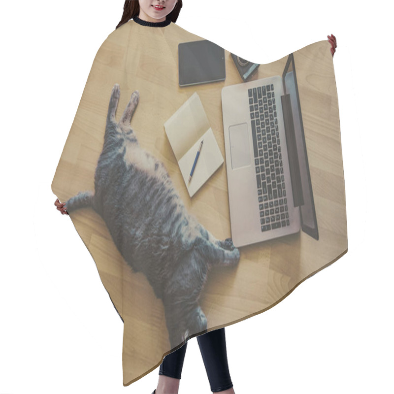 Personality  Working Home Concept - Cat Lying On The Floor Near A Laptop Hair Cutting Cape