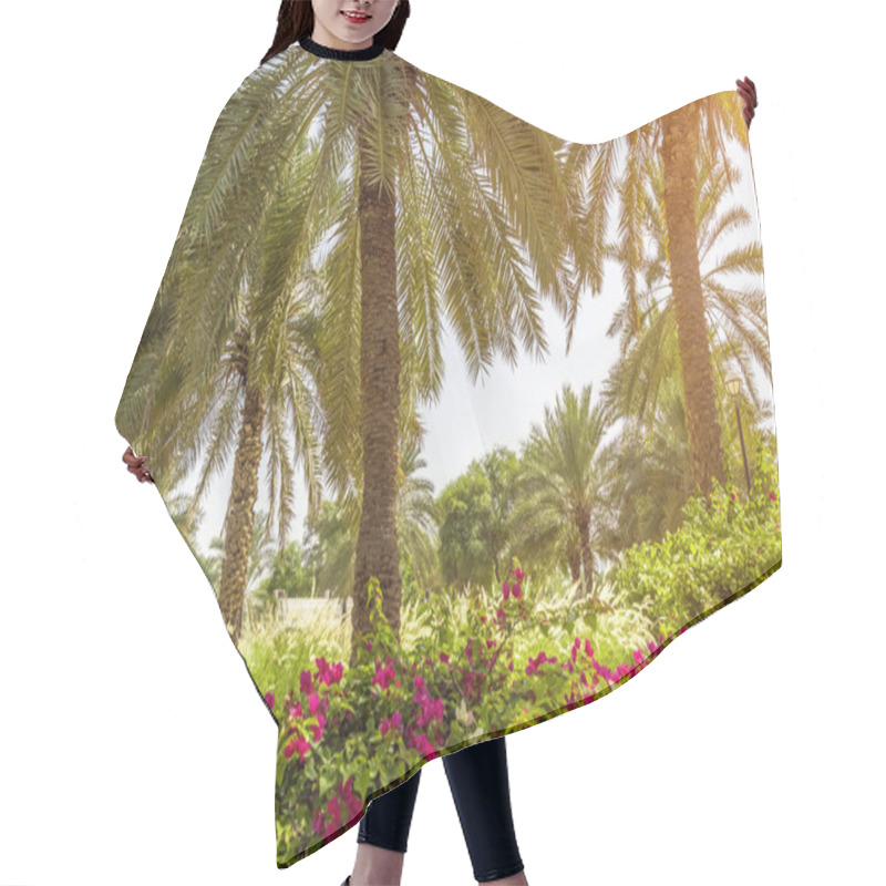 Personality  Palm Trees In The Garden Hair Cutting Cape