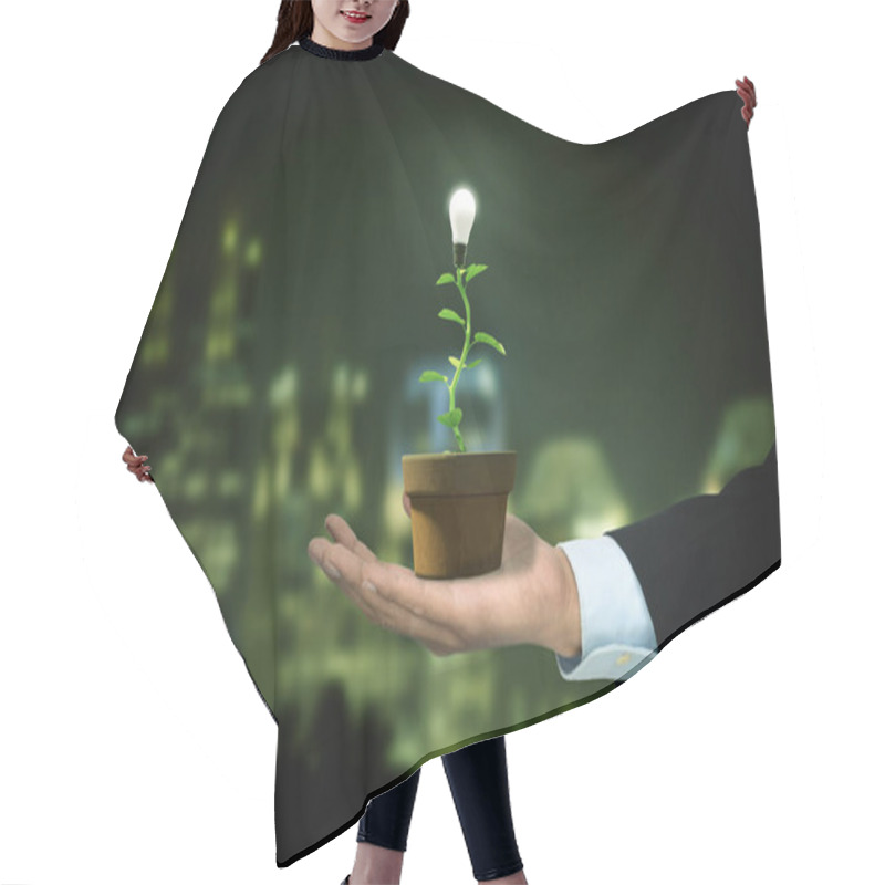 Personality  Sustainable Or Renewable Green Energy Concept Illustrated With A Tree Seedling Grow And Lit A Led Bulb As Fruit. Mixed Media. Hair Cutting Cape