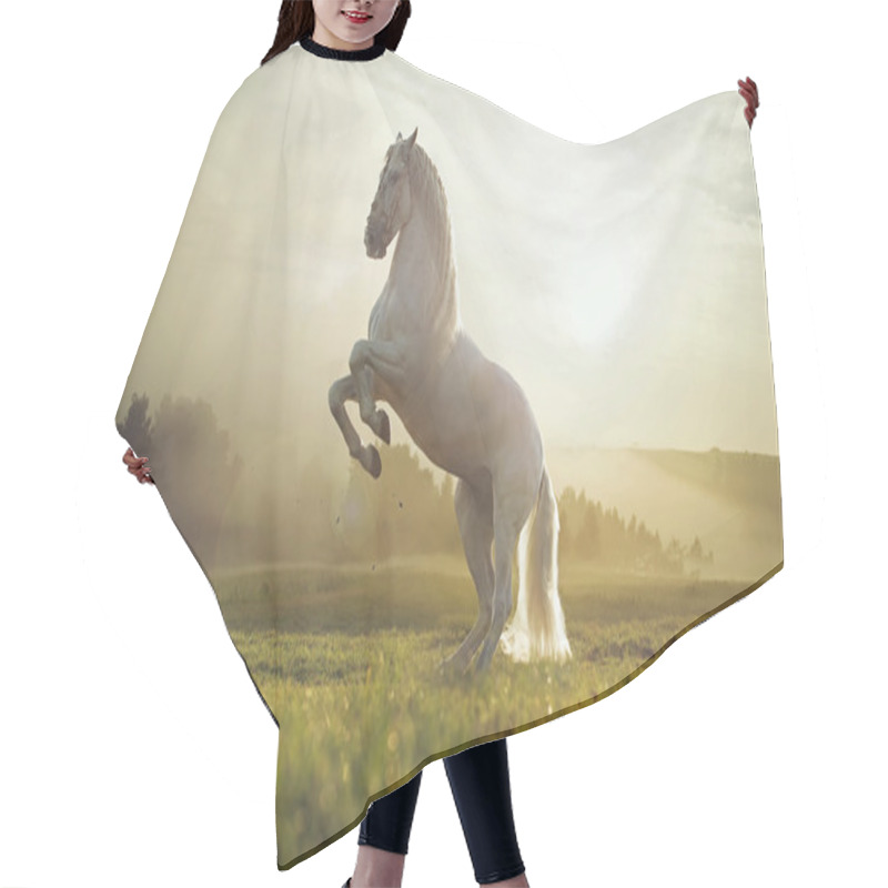 Personality  Majestic Photo Of Royal White Horse Hair Cutting Cape