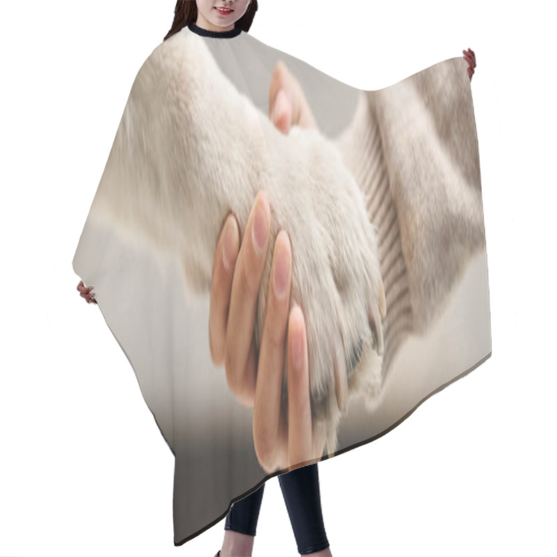 Personality  Cute Labrador Giving Paw To Little Girl In Modern Living Room, Cropped Shot Of Kid And Dog Banner Hair Cutting Cape