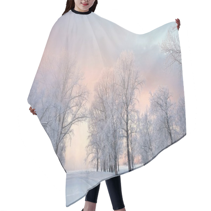 Personality  Snowy Landscape With Trees Hair Cutting Cape