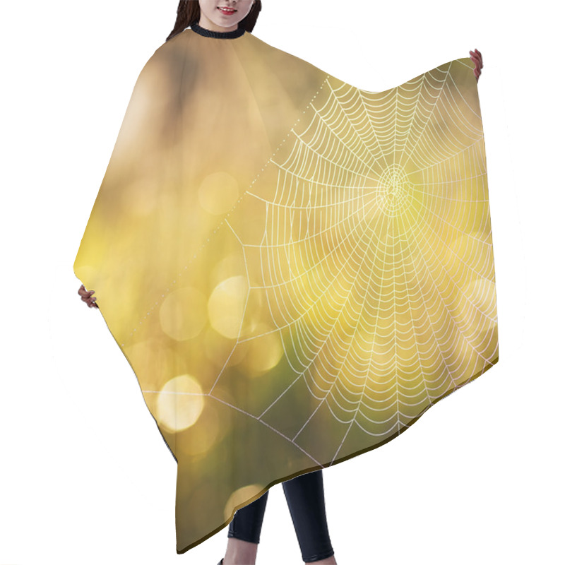 Personality  Cobweb Summer Hair Cutting Cape