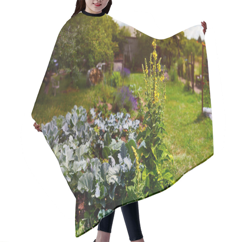 Personality  Kohlrabi And Flowering Mullein In A Flower Bed In A Rural Garden Hair Cutting Cape