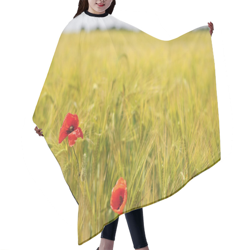 Personality  Wheat Field Poppies Hair Cutting Cape