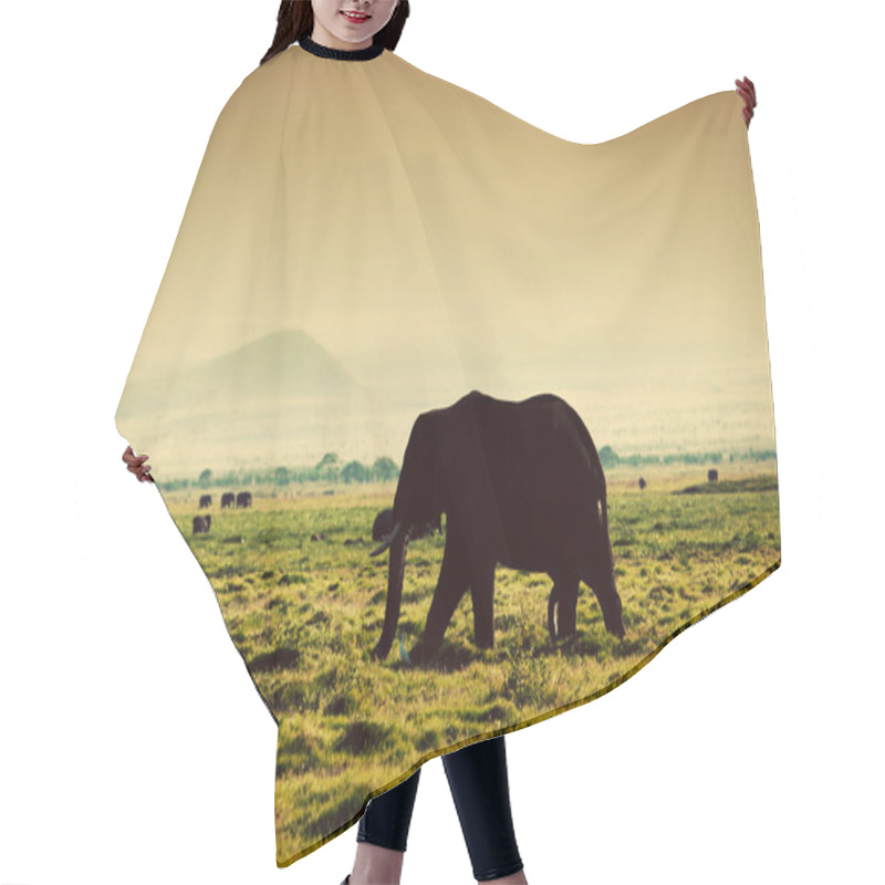 Personality  Elephant On Savanna. Safari In Amboseli, Kenya, Africa Hair Cutting Cape