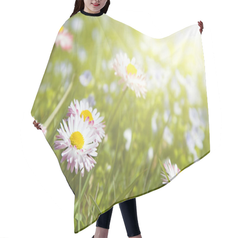 Personality  Daisy Flowers (Shallow DOF) Hair Cutting Cape