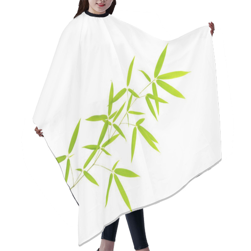 Personality  Green Bamboo Leaves Isolated On White Background Hair Cutting Cape