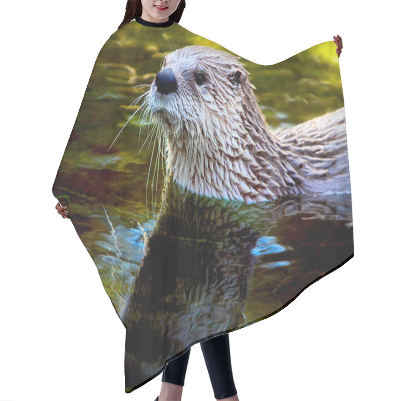 Personality  Otter Hair Cutting Cape