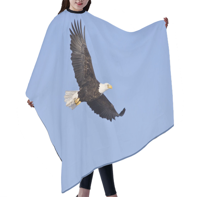 Personality  Bald Eagle In Flight Isolated On A Blue Hair Cutting Cape