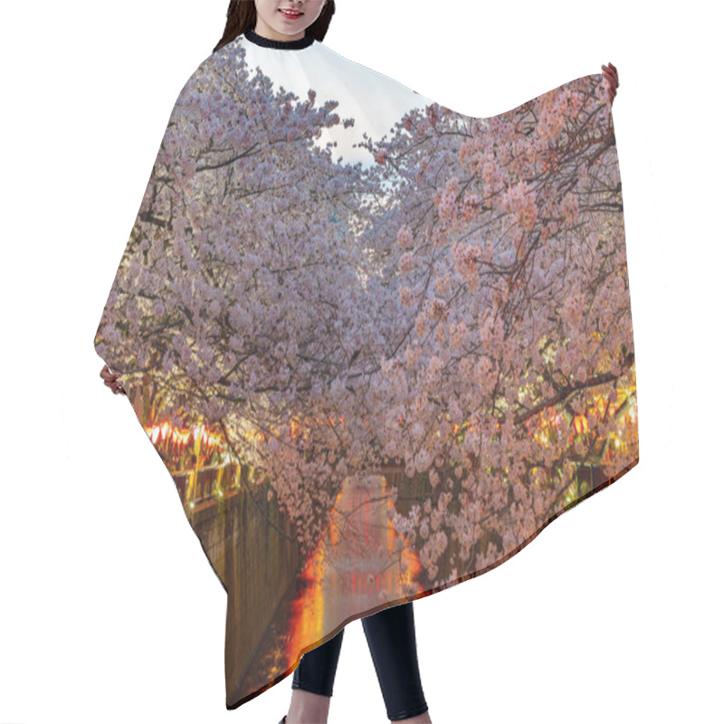 Personality  Cherry Blossom Season In Tokyo At Meguro River, Japan Hair Cutting Cape