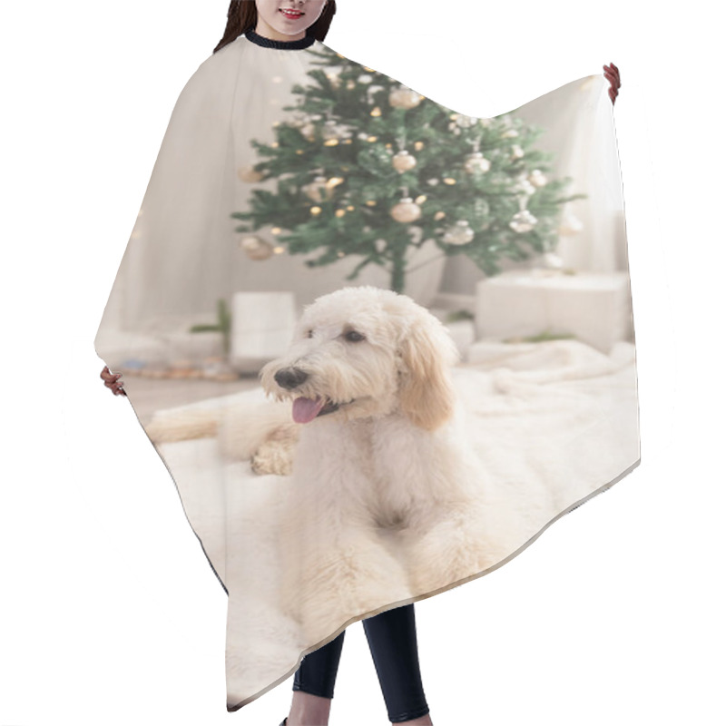 Personality  Golden Doodle Laying Down In Front Of Christmas Tree Hair Cutting Cape