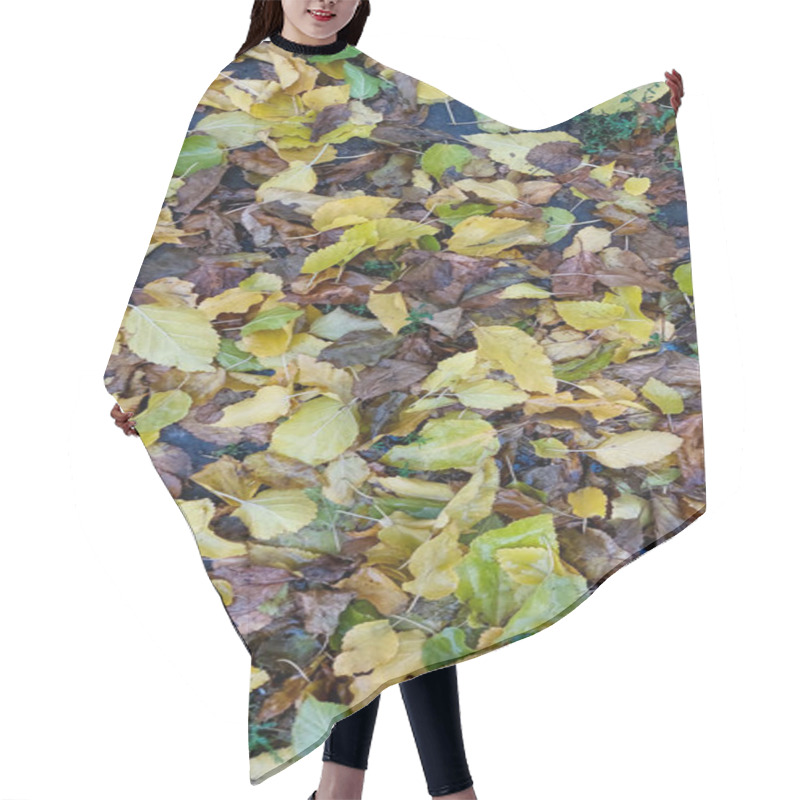 Personality  Mixed Brown And Yellow Fallen Leaves Covering Ground In Autumn Park Hair Cutting Cape