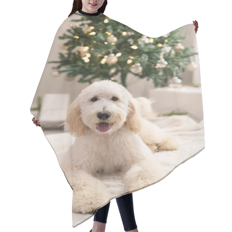 Personality  Dog Laying Down In Front Of Christmas Tree Hair Cutting Cape