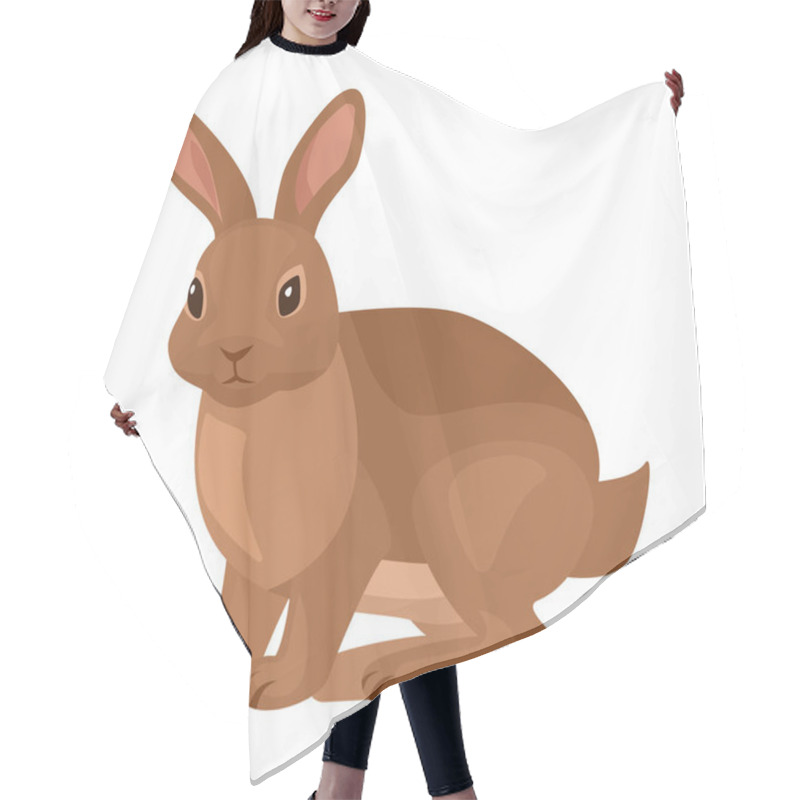 Personality  Rabbit Vector Icon.Cartoon Vector Icon Isolated On White Background Rabbit. Hair Cutting Cape