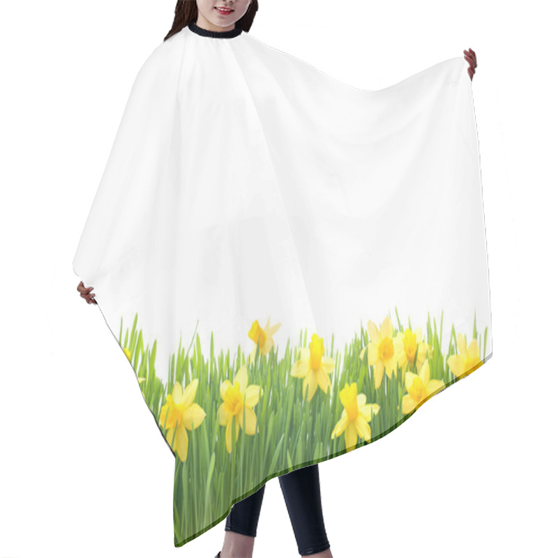 Personality  Spring Narcissus Flowers In Green Grass Hair Cutting Cape