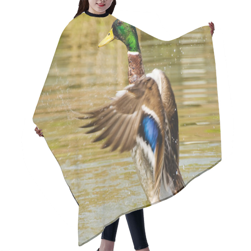 Personality  Wild Duck In Flying Action Hair Cutting Cape