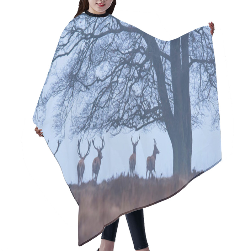 Personality  Deer Under Winter Tree Hair Cutting Cape