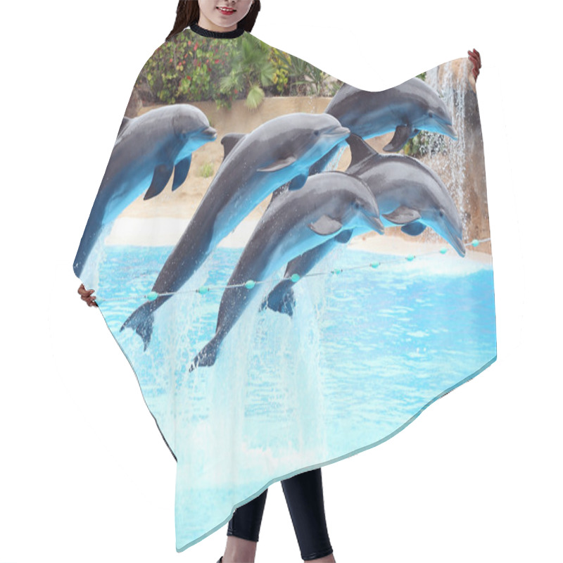 Personality  Five Dolphins Jumping Hair Cutting Cape