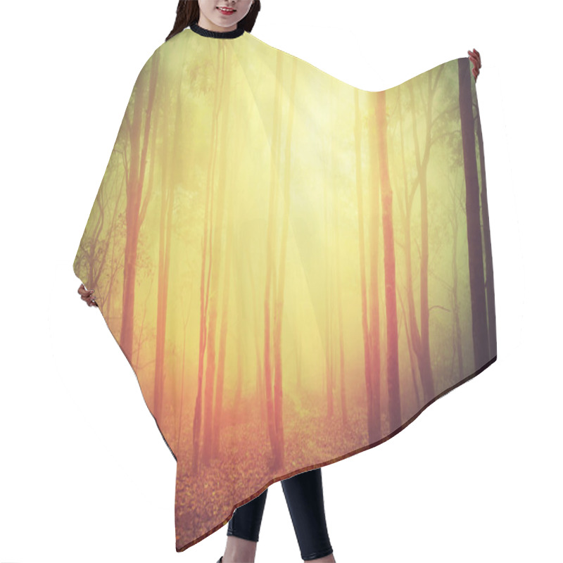 Personality  Forest And Hiking Trail  Hair Cutting Cape