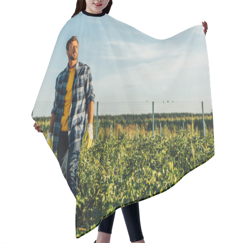 Personality  Rancher In Plaid Shirt And Work Gloves Looking Away While Standing In Field Against Cloudy Sky Hair Cutting Cape