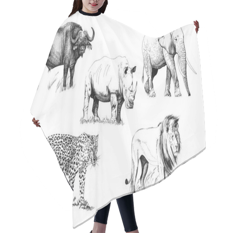 Personality  Big African Five Animal. Hand Drawn Illustration. Collection Of Hand Drawn Illustrations (originals, No Tracing) Hair Cutting Cape