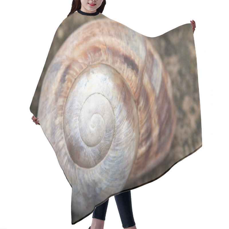 Personality  Seashell Hair Cutting Cape