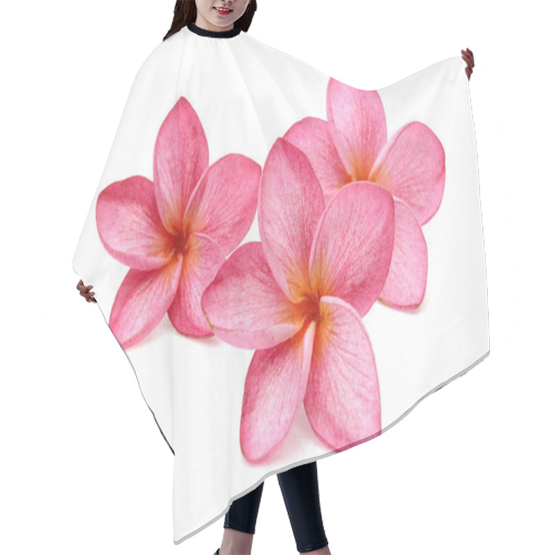 Personality  Beautiful Pink Frangipani Plumeria Flowers  Hair Cutting Cape