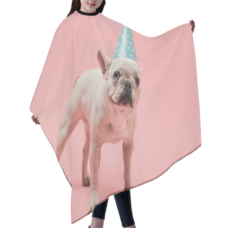 Personality  White French Bulldog In Blue Birthday Cap On Pink Background Hair Cutting Cape