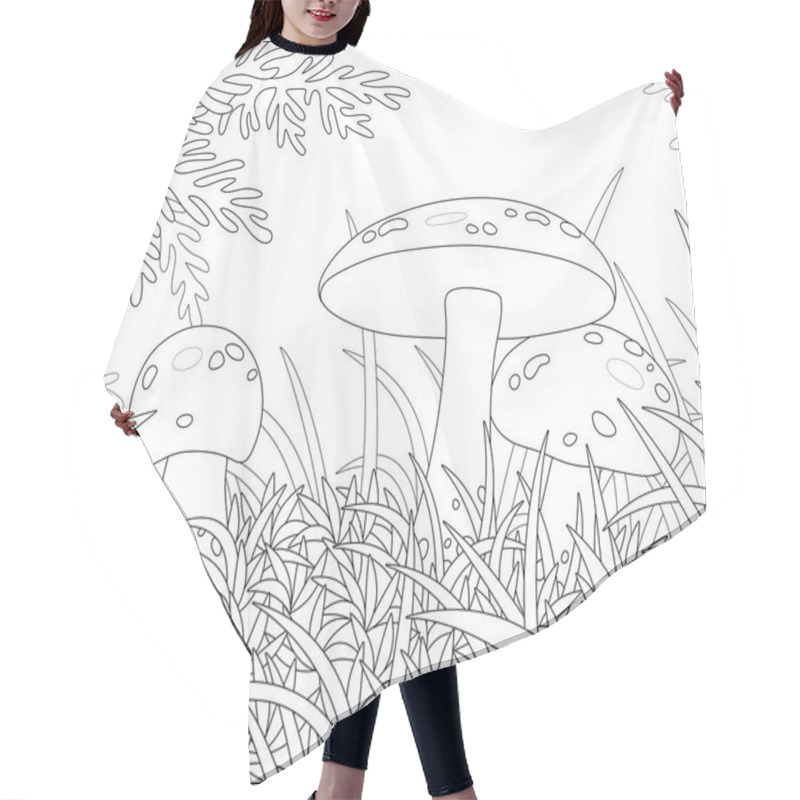 Personality  Three Edible Mushrooms With Big Caps Hiding In Thick Grass On A Pretty Forest Glade On A Warm Summer Day, Black And White Outline Vector Cartoon Illustration For A Coloring Book Page Hair Cutting Cape