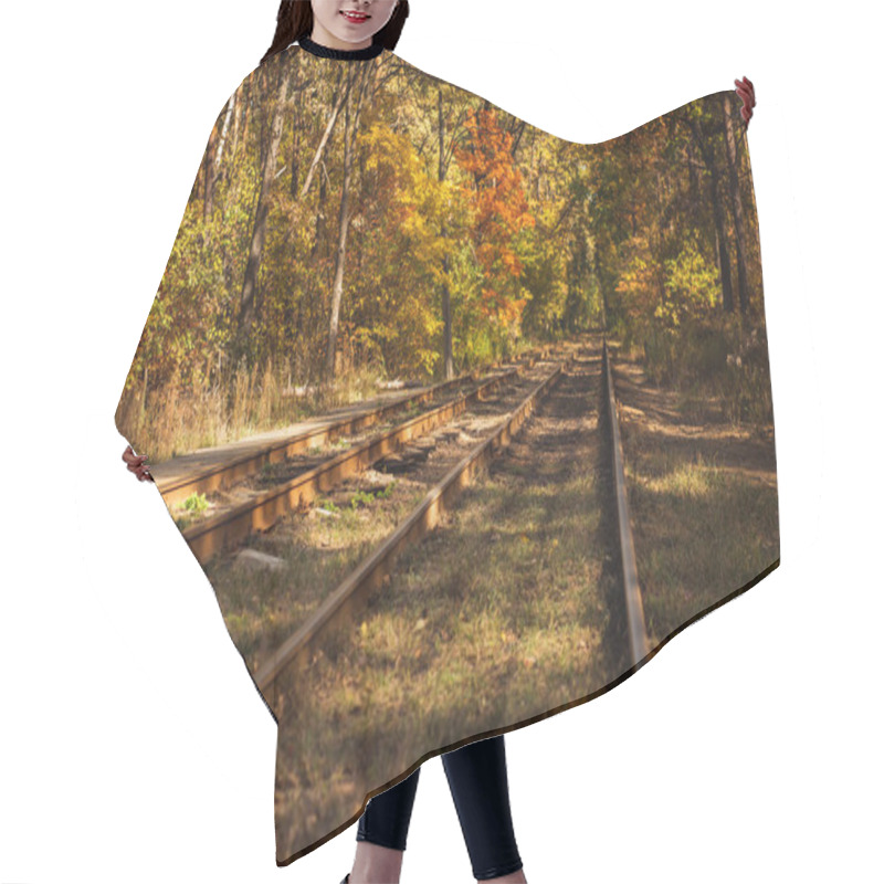 Personality  Railway In Autumnal Forest With Golden Foliage In Sunlight Hair Cutting Cape