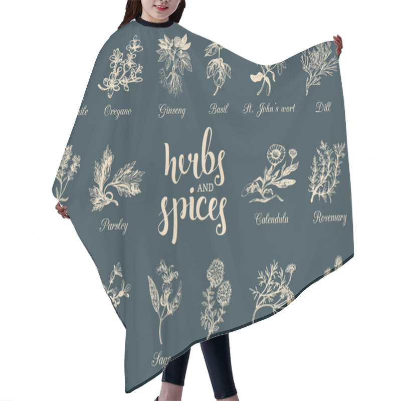 Personality  Herbs And Spices Set. Hair Cutting Cape