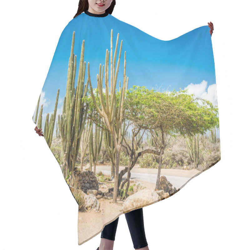 Personality  Typical Dry Climate Cacti And Shrubs In Aruba Hair Cutting Cape