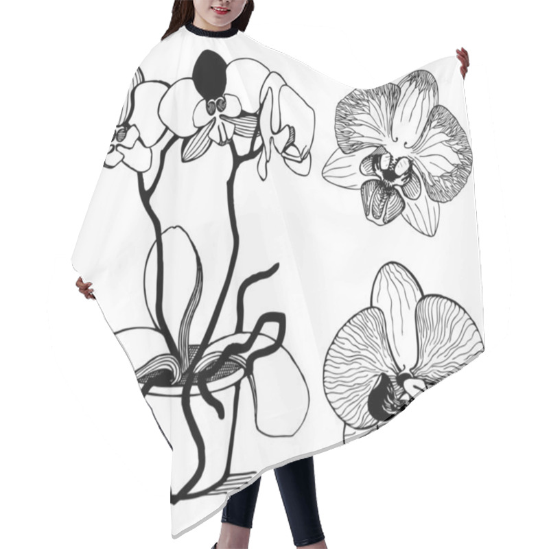 Personality  Vector Set Of Hand Drawn Orchid Flowers Hair Cutting Cape