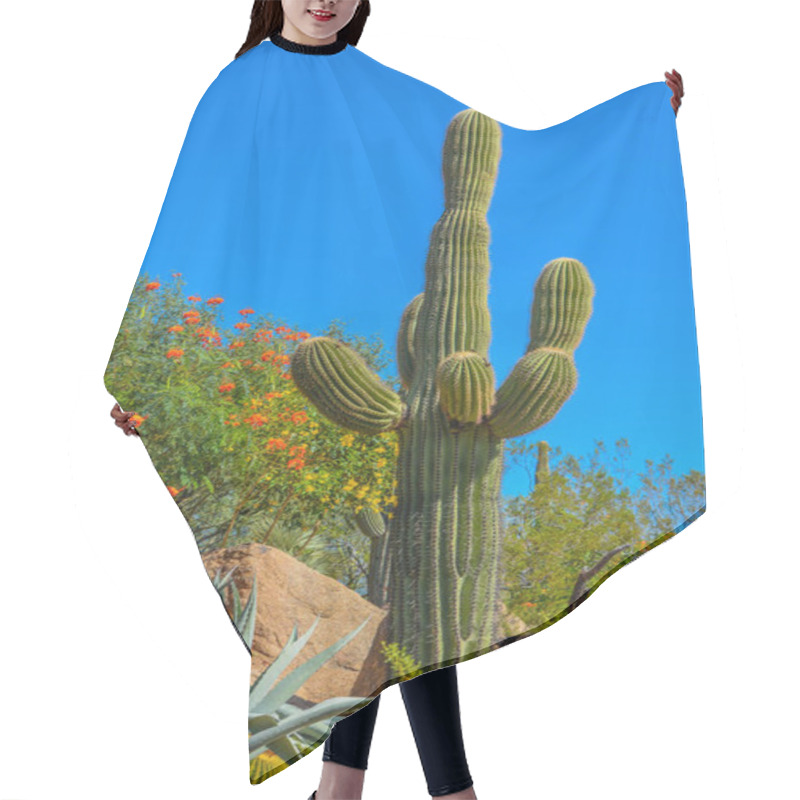 Personality  Desert Cactus Landscape In Arizona Hair Cutting Cape