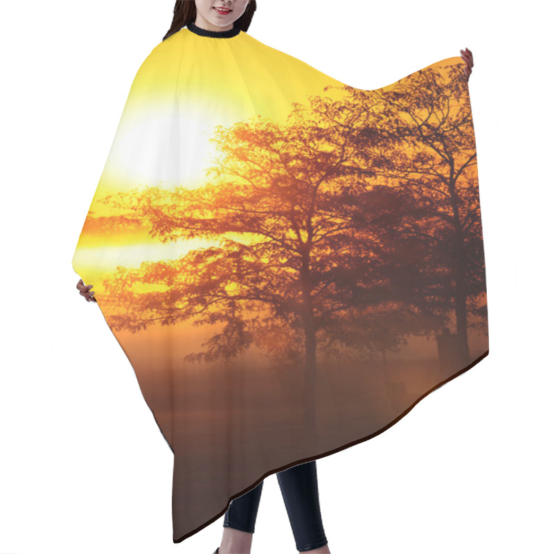 Personality  Sun Rise Hair Cutting Cape