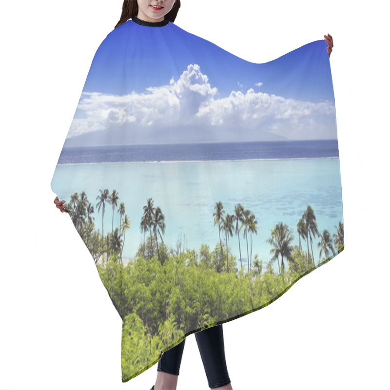 Personality  Palm Trees On Tropical Beach In Moorea Hair Cutting Cape