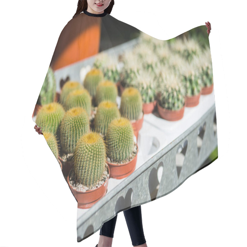 Personality  Cactuses Hair Cutting Cape