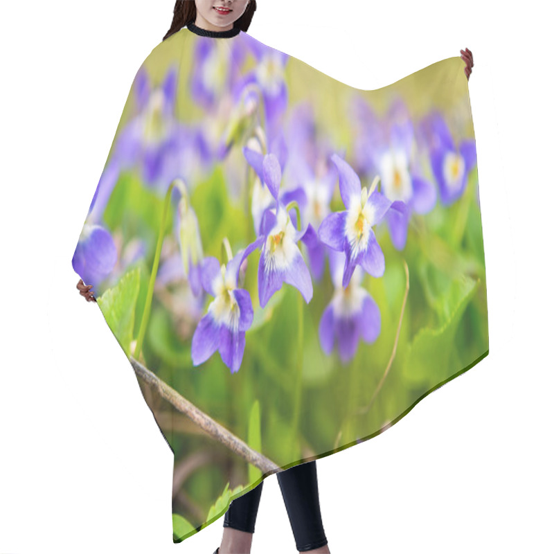 Personality  Violets Flowers Blooming In Spring Hair Cutting Cape