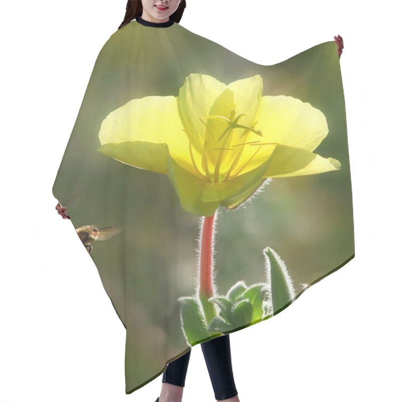 Personality  Bee Flying Towards Yellow Flower. Hair Cutting Cape